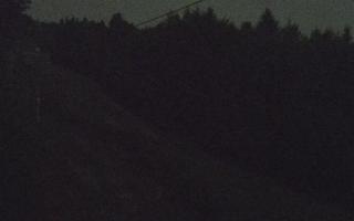 Laskowa pośredni - 01-08-2026 21:28