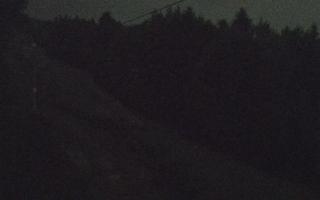 Laskowa pośredni - 01-08-2026 21:50