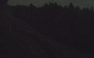 Laskowa pośredni - 01-08-2026 22:01