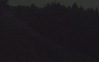 Laskowa pośredni - 01-08-2026 22:12