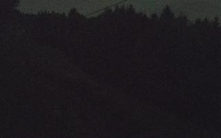 Laskowa pośredni - 01-08-2026 22:23