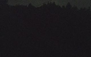 Laskowa pośredni - 01-08-2026 23:51