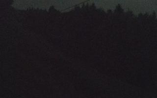 Laskowa pośredni - 02-08-2026 01:19