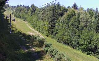 Laskowa pośredni - 01-09-2026 12:01