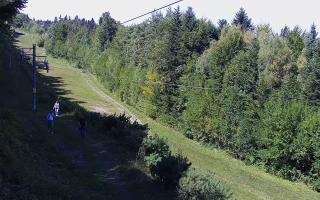 Laskowa pośredni - 13-09-2026 12:34