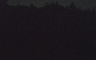 Laskowa pośredni - 17-10-2026 03:43