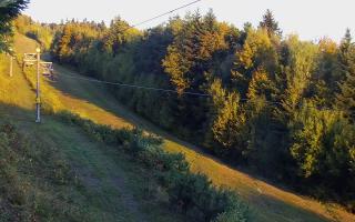 Laskowa pośredni - 17-10-2026 05:21