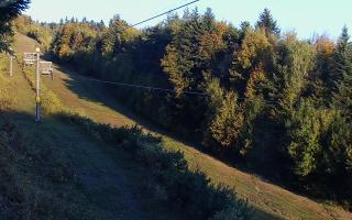 Laskowa pośredni - 17-10-2026 05:32