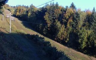 Laskowa pośredni - 17-10-2026 05:43