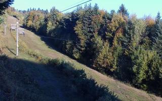 Laskowa pośredni - 17-10-2026 05:54