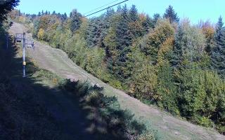 Laskowa pośredni - 17-10-2026 07:22