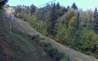 Laskowa pośredni - 17-10-2026 09:12