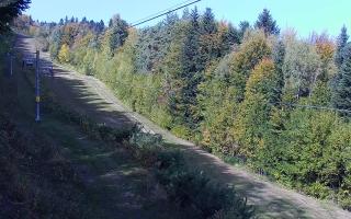 Laskowa pośredni - 17-10-2026 09:23