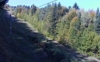 Laskowa pośredni - 17-10-2026 09:45