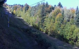Laskowa pośredni - 17-10-2026 10:07