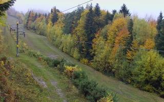 Laskowa pośredni - 26-10-2026 10:10