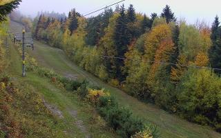 Laskowa pośredni - 26-10-2026 10:21