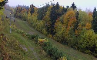 Laskowa pośredni - 26-10-2026 10:54