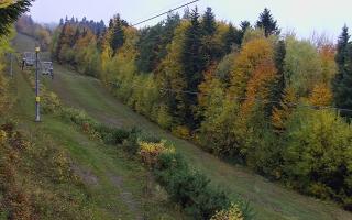 Laskowa pośredni - 26-10-2026 11:49