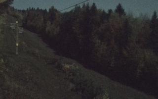 Laskowa pośredni - 26-10-2026 18:46