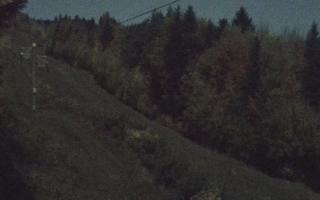 Laskowa pośredni - 26-10-2026 20:47