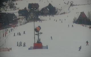 Wisła Cieńków - 29-01-2026 10:03