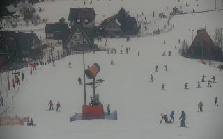 Wisła Cieńków - 29-01-2026 10:26