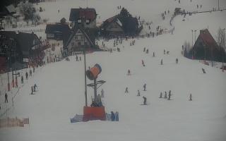 Wisła Cieńków - 29-01-2026 11:05