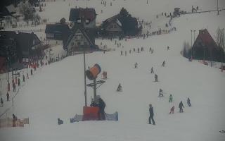 Wisła Cieńków - 29-01-2026 12:37