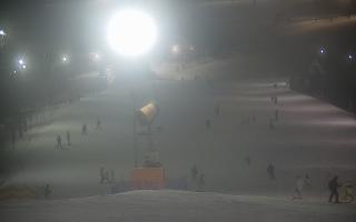 Wisła Cieńków - 29-01-2026 17:00