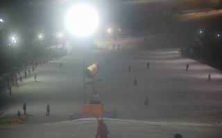 Wisła Cieńków - 29-01-2026 17:31