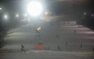 Wisła Cieńków - 29-01-2026 18:33