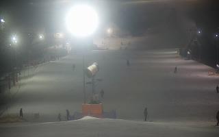 Wisła Cieńków - 01-02-2026 17:23