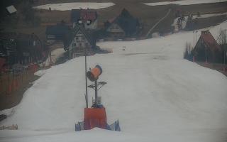 Wisła Cieńków - 17-03-2026 06:35