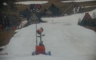 Wisła Cieńków - 17-03-2026 09:55