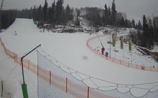 Wisła Skolnity - 02-02-2026 08:26