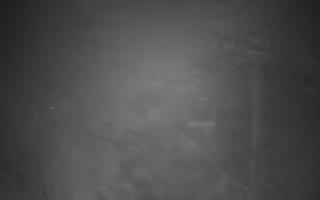 Wisła Skolnity górna stacja - 03-11-2025 03:45