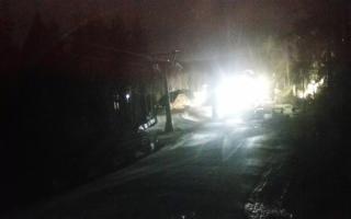 Biały Jar dolna stacja - 18-12-2025 21:58