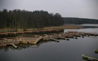 Olsztyn Słoneczna Polana #1 - 13-12-2025 14:52