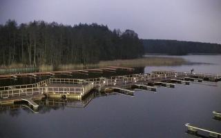 Olsztyn Słoneczna Polana #1 - 13-12-2025 15:00