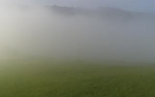 Wisła Malinka Klepki - 17-06-2025 04:42