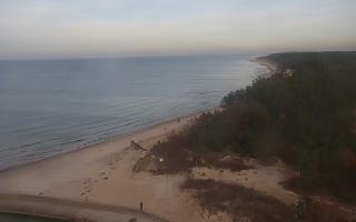 Rowy wschód - 01-11-2025 13:12