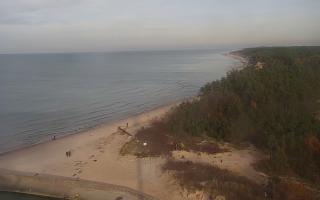 Rowy wschód - 01-11-2025 13:28