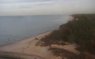 Rowy wschód - 01-11-2025 13:44