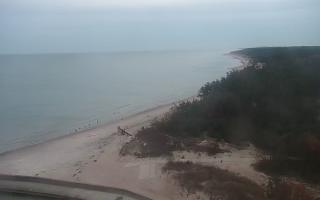 Rowy wschód - 01-11-2025 15:20