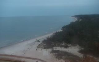 Rowy wschód - 01-11-2025 15:35