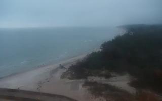 Rowy wschód - 02-11-2025 05:40