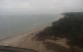 Rowy wschód - 02-11-2025 12:02