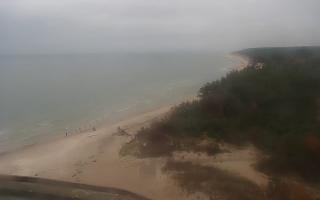 Rowy wschód - 02-11-2025 12:49