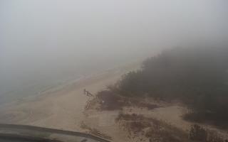 Rowy wschód - 17-03-2026 09:14